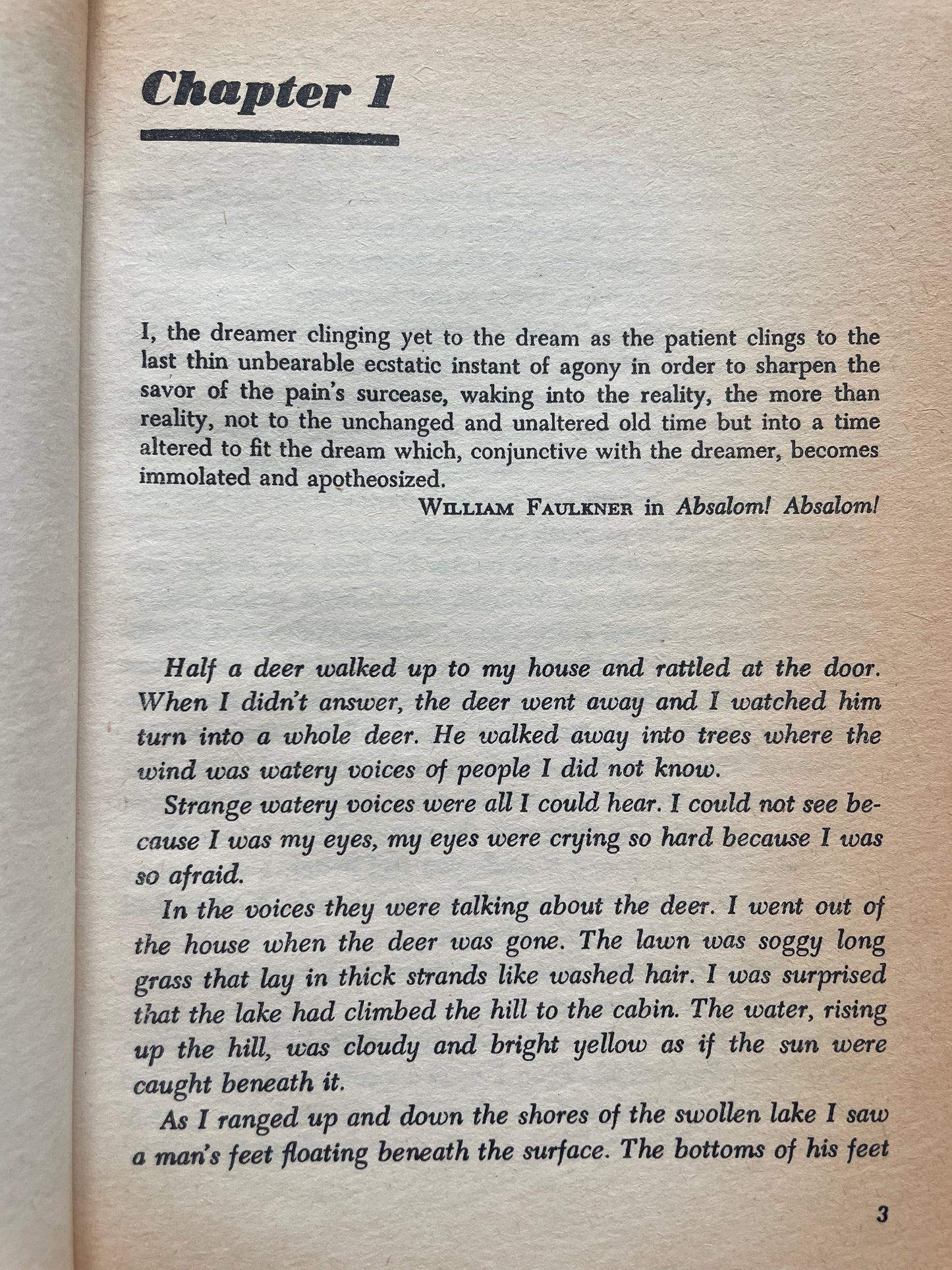 A BOOK OF DREAMS by PETER REICH