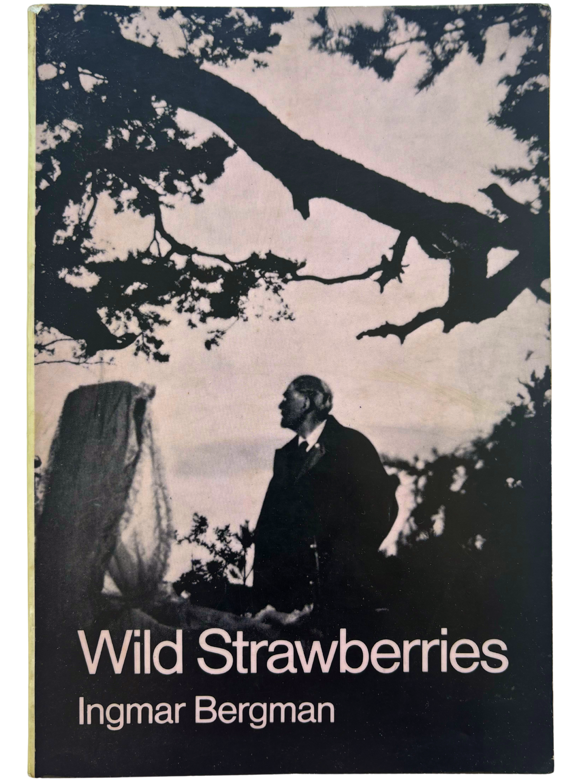 WILD STRAWBERRIES